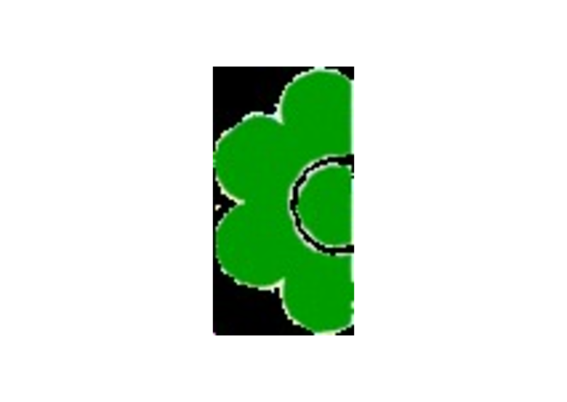 Blumen Steinle